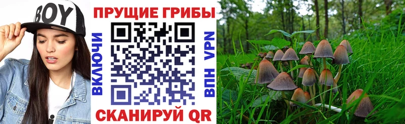 Галлюциногенные грибы MAGIC MUSHROOMS  купить  сайты  ссылка на мегу как зайти  Ртищево 